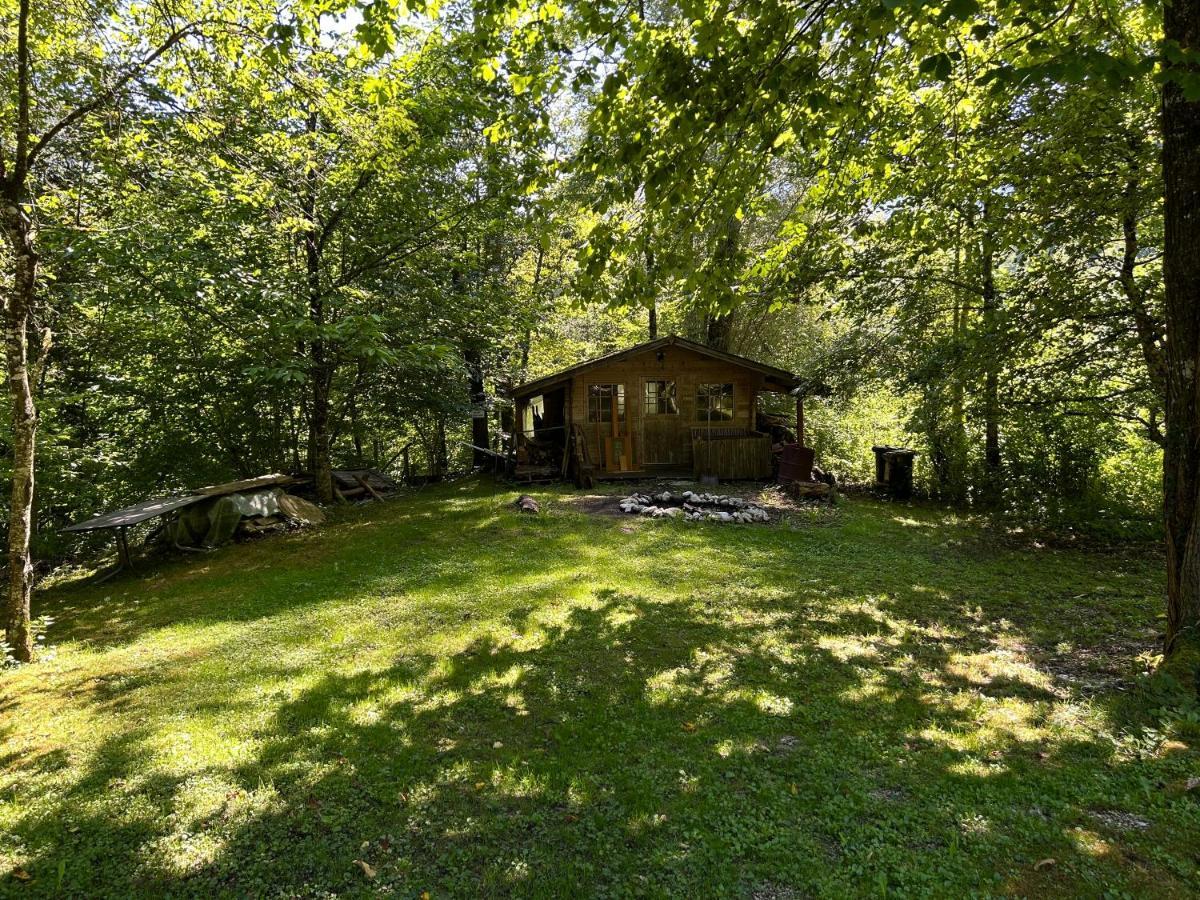 Haus Am Wald -Fewo 2 Marktschellenberg Extérieur photo